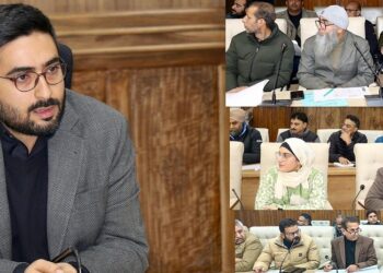 DC Srinagar reviews progress of works under District Capex Budget