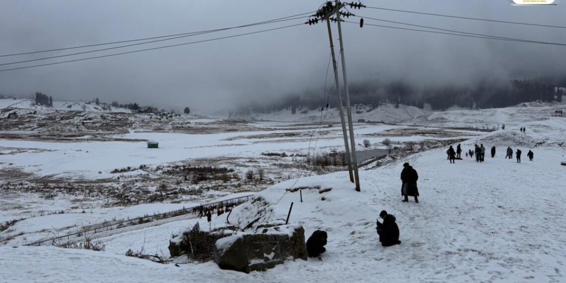 Fresh Snowfall