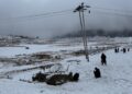 Fresh Snowfall