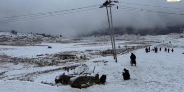 Fresh Snowfall