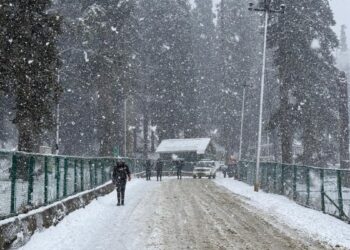 Fresh Snowfall