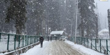 Fresh Snowfall