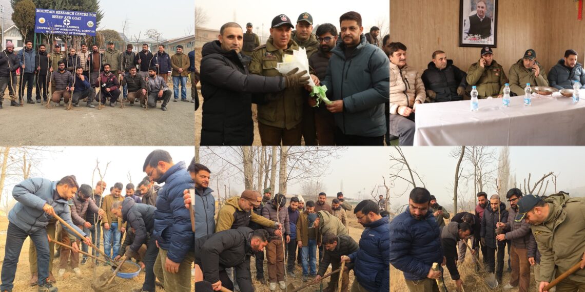 MRCS&G, Ganderbal Press Association hold plantation drive at Shuhama