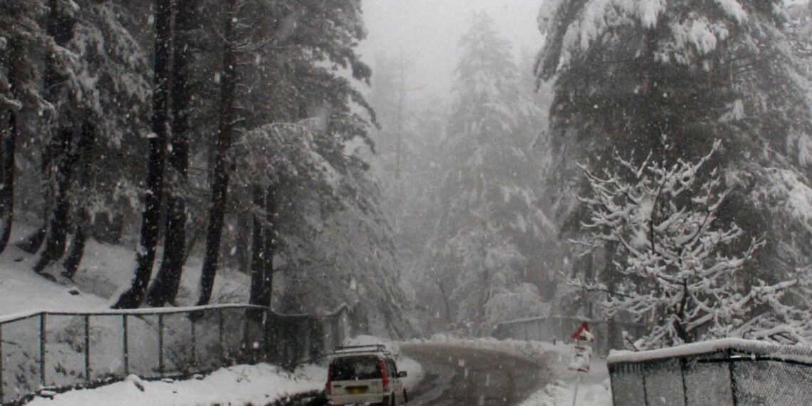 Fresh snowfall in north Kashmir on Friday delights tourists visiting the famous ski resort in Gulmarg.