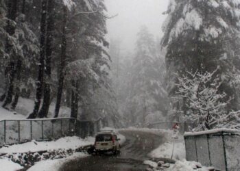 Fresh snowfall in north Kashmir on Friday delights tourists visiting the famous ski resort in Gulmarg.