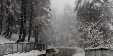 Fresh snowfall in north Kashmir on Friday delights tourists visiting the famous ski resort in Gulmarg.