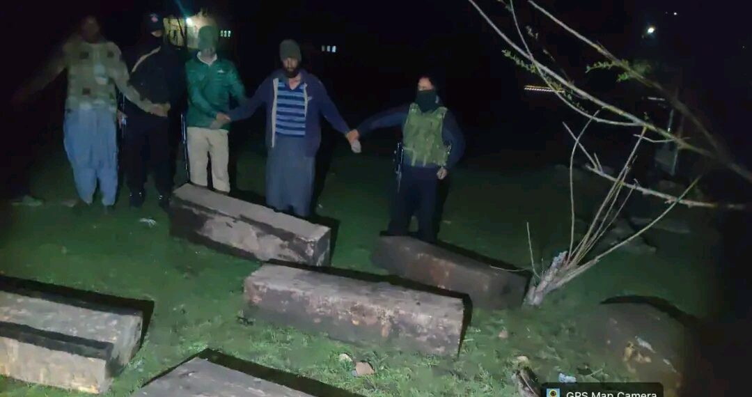 Police foil timber smuggling in Pulwama, two accused arrested 