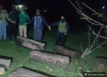 Police foil timber smuggling in Pulwama, two accused arrested 