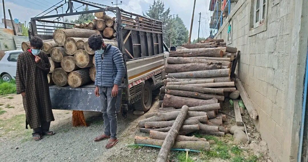 Police solve timber theft case in Pulwama, two accused arrested 