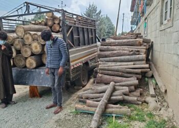 Police solve timber theft case in Pulwama, two accused arrested 