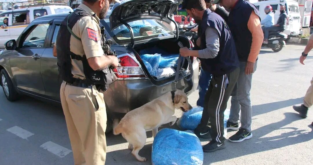 Police deploy Narcotic Dog Squad to identify & apprehend drug peddlers in Anantnag