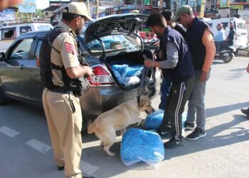 Police deploy Narcotic Dog Squad to identify & apprehend drug peddlers in Anantnag