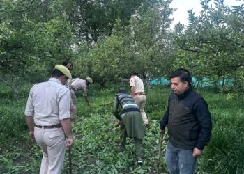 Police intensify crackdown on Illegal Poppy Cultivation in Anantnag; Multiple cases registered