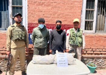 Two drug peddlers arrested in Ganderbal: Police