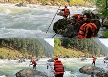 Search Operation Enters Second Day to Trace Srinagar Man Drowned in Lidder River While Saving Son