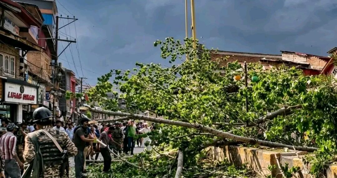 Man dies, wife critical after tree falls amid strong winds in Anantnag