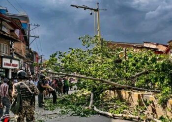 Man dies, wife critical after tree falls amid strong winds in Anantnag