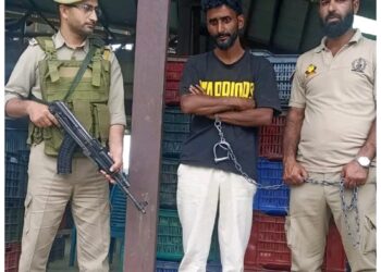Police cracks orchard theft case in Pulwama; Stolen Gala apples recovered