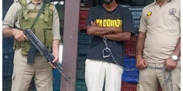 Police cracks orchard theft case in Pulwama; Stolen Gala apples recovered