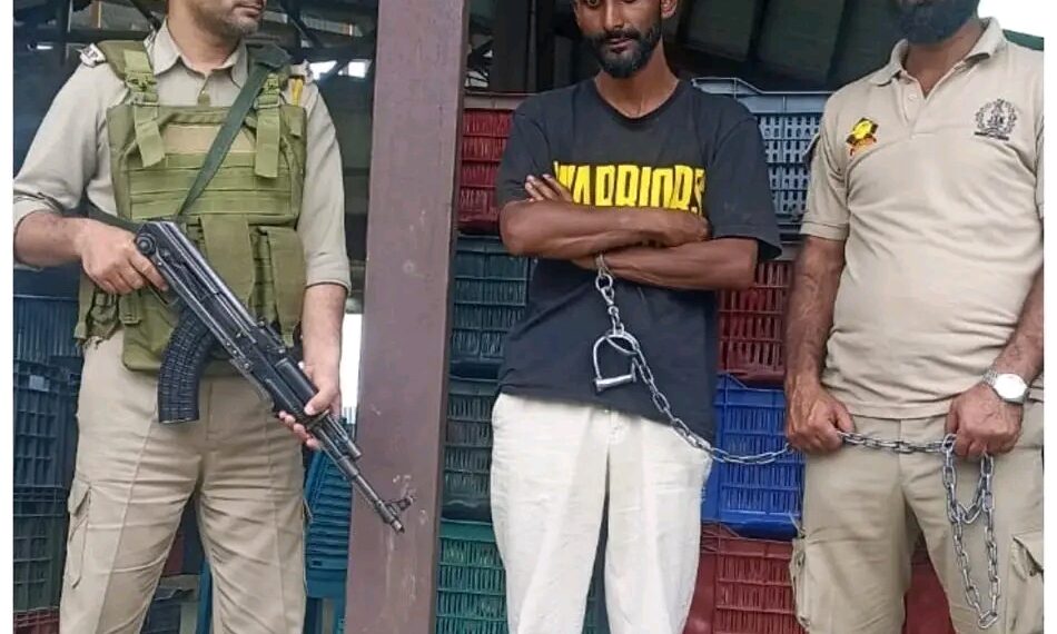 Police cracks orchard theft case in Pulwama; Stolen Gala apples recovered