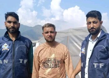 ANTF Kashmir Arrests Punjab-Based Drug Peddler, Recovers Heroin at Lasjan, Nowgam