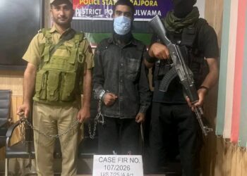 Terror Plot Foiled in Pulwama, One Held With Hand Grenade: Police