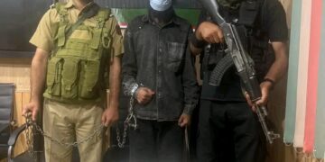 Terror Plot Foiled in Pulwama, One Held With Hand Grenade: Police
