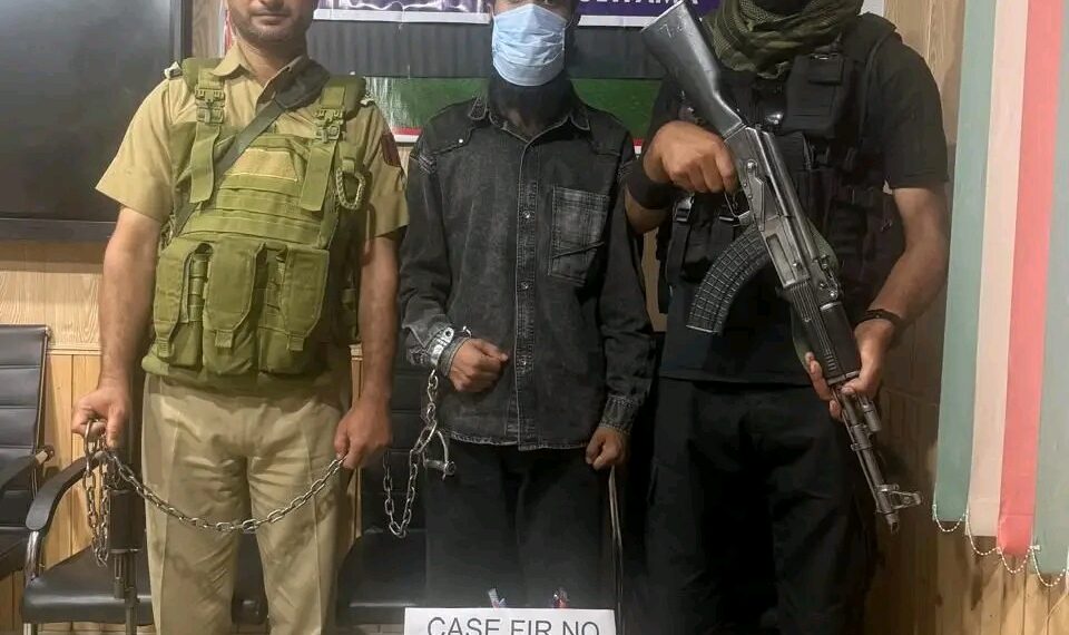 Terror Plot Foiled in Pulwama, One Held With Hand Grenade: Police