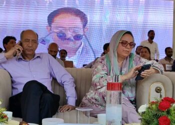 NC will continue its campaign until J&K gets statehood: CM’s Advisor