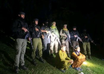 Two Terrorist Associates apprehended, Arms & Ammunition recovered in Pulwama: Police 
