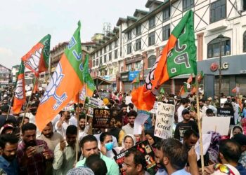 BJP denies affiliation of man seen allegedly molesting woman at Srinagar protest