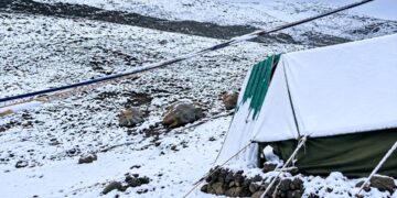 Fresh snowfall blankets Gurez as rain lashes Kashmir