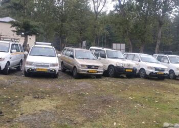 Police crack down on tourist harassment and overcharging; six vehicles seized in Tangmarg
