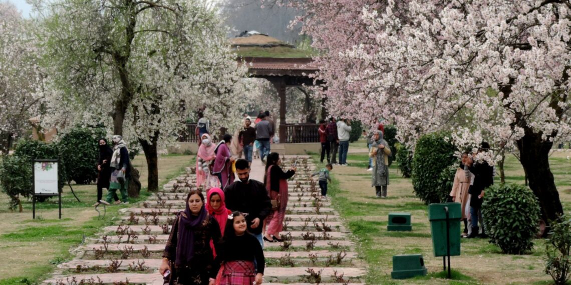 Visitors throng famous Badamwari Almond Park on first day of its officially reopening