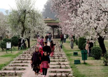 Visitors throng famous Badamwari Almond Park on first day of its officially reopening