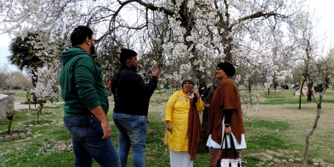 Visitors throng famous Badamwari Almond Park on first day of its officially reopening