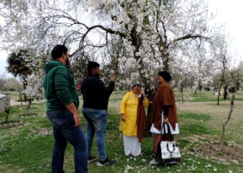 Visitors throng famous Badamwari Almond Park on first day of its officially reopening