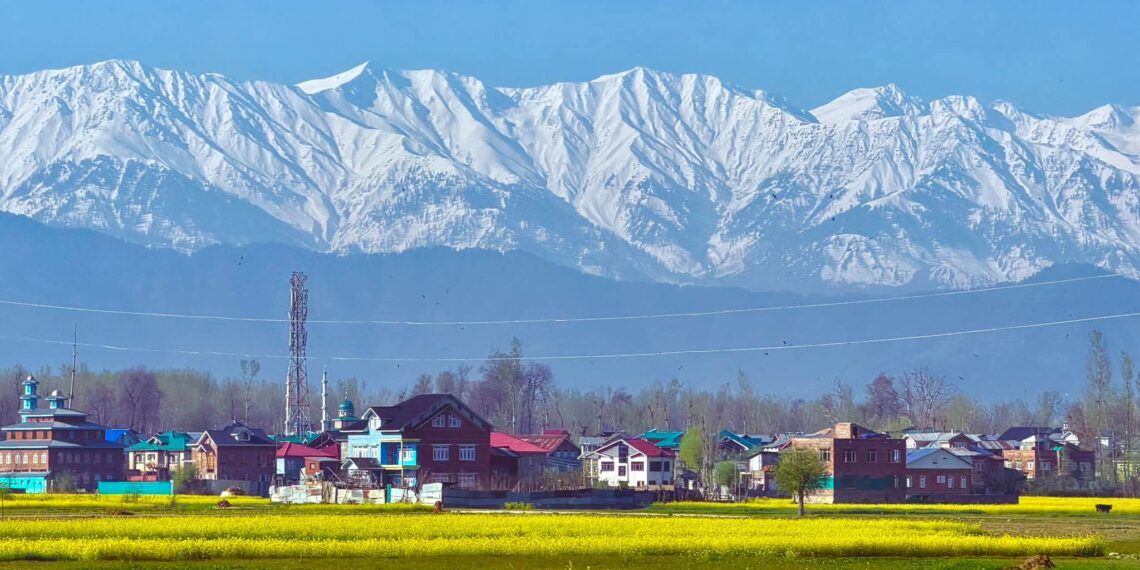 Spring Bloom Turns Kashmir Fields into Tourist Hub
