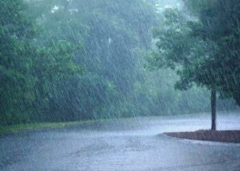 Katra Records Highest Rainfall At 245.6 mm As J&K Witnesses Intense Downpour
