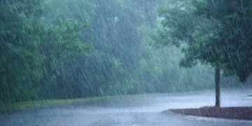 Katra Records Highest Rainfall At 245.6 mm As J&K Witnesses Intense Downpour