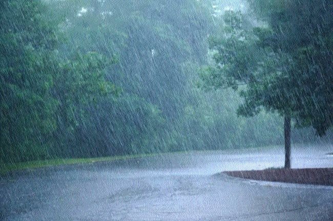 Katra Records Highest Rainfall At 245.6 mm As J&K Witnesses Intense Downpour