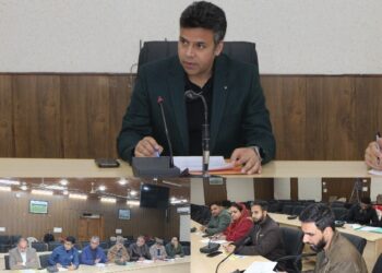 DC B’gam reviews Status of Power Transmission Towers Affected by Land Acquisition for Semi Ring Road in Distt