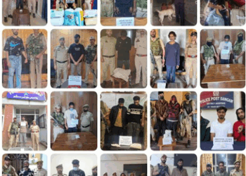 476 Peddlers Arrested, 2,000 Kg Contraband Destroyed In 9 Months: Police