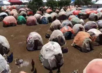 569,000 people displaced in Somalia due to conflict
