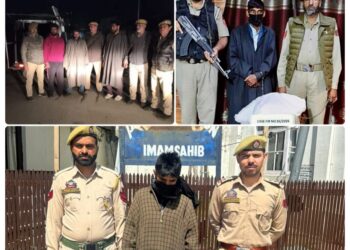 6 drug peddlers arrested, contraband seized in Anantnag, Shopian & Awantipora: Police
