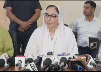Article 370 Abrogation Ended Era of Bloodshed, Irreversible: Darakhshan Andrabi