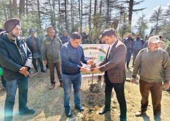ADC Bhaderwah leads plantation drive at Village Domanda