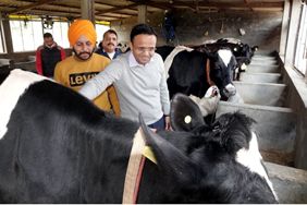 AHD Jammu establishes over 1000 dairy units in past 4 months