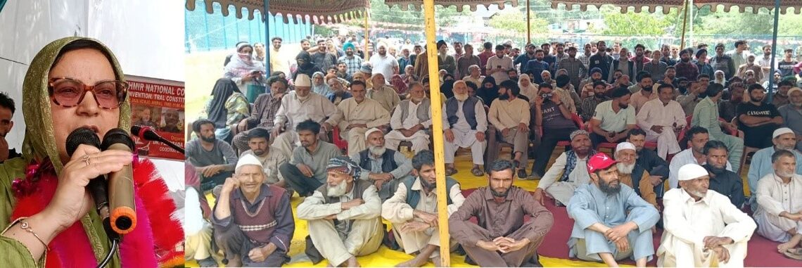 Sakeena Itoo addresses mega public gathering at Aripal Tral