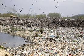 Dy Mayor Srinagar visits Achan landfill site, interacts with locals